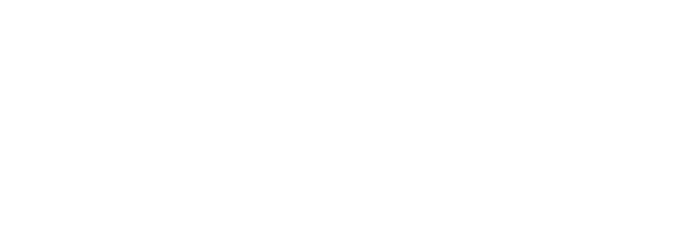 WAELCO Consulting